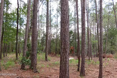 3231 Orchard Creek Road, Oriental, NC 28571 - Photo 12