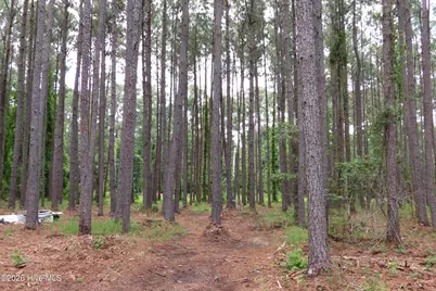 3231 Orchard Creek Road, Oriental, NC 28571 - Photo 14
