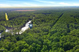954 Fork Point Rd, Oriental, NC 28571 - Photo 48