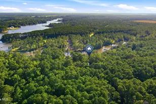 954 Fork Point Rd, Oriental, NC 28571 - Photo 46