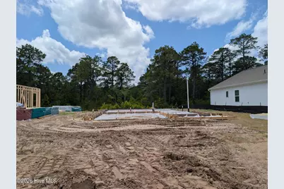 156 S Umbrella Palm Drive, Hampstead, NC 28443 - Photo 2