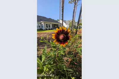 6881 Beckman Circle SW, Ocean Isle Beach, NC 28469 - Photo 22