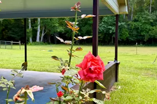 101 Nevil Creek Rd, Blounts Creek, NC 27814 - Photo 54