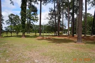 43 Willow Dr, Tabor City, NC 28463 - Photo 72