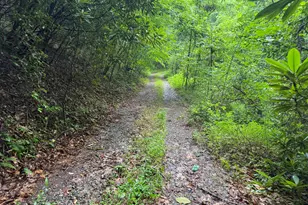 00 Poley Morrow Rd, Murphy, NC 28906 - Photo 1