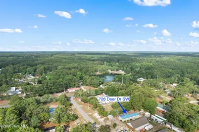 728 Deer Drive SW, Supply, NC 28462 - Photo 44