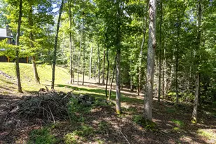1198 Nature Vly Trl, Murphy, NC 28906 - Photo 50