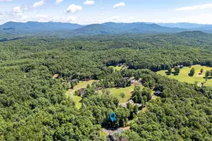 1198 Nature Vly Trl, Murphy, NC 28906 - Photo 56
