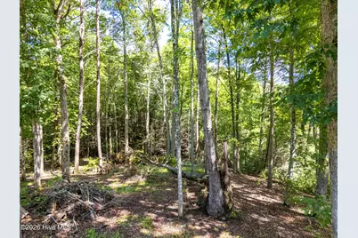 1198 Nature Valley Trail, Murphy, NC 28906 - Photo 48