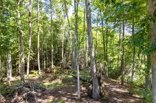 1198 Nature Vly Trl, Murphy, NC 28906 - Photo 48