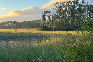 210 Fullford Ln, Wilmington, NC 28412 - Photo 2