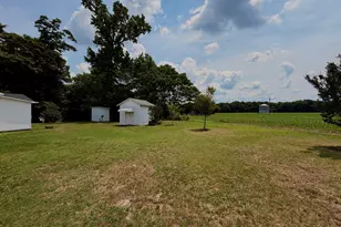 389 Luby Smith Rd, Princeton, NC 27569 - Photo 6