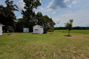 389 Luby Smith Rd, Princeton, NC 27569 - Photo 4