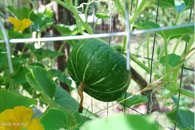 4306 Seago Road, Hephzibah, GA 30815 - Photo 50