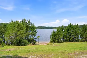 706 Nut Bush Ct, Wilmington, NC 28411 - Photo 30