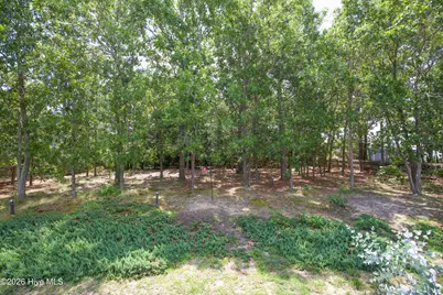 34 Princess Gate Drive, Whispering Pines, NC 28327 - Photo 52