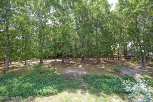 34 Princess Gate Dr, Whispering Pines, NC 28327 - Photo 52