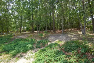 34 Princess Gate Dr, Whispering Pines, NC 28327 - Photo 54