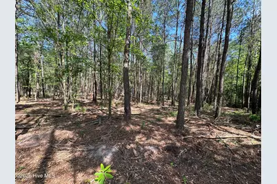 28 Hillside Lane, Clinton, NC 28328 - Photo 2