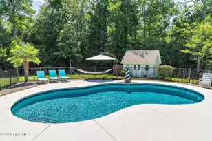 130 Wild Berry Ln, Hampstead, NC 28443 - Photo 60