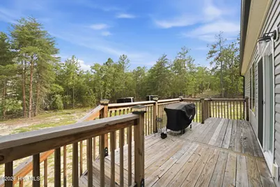1368 Boyd Lake Road, Hamlet, NC 28345 - Photo 14