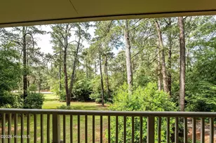 1007 Tamarack Dr, North Augusta, SC 29841 - Photo 60