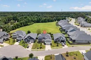 4212 Dutch Cove Ct, Castle Hayne, NC 28429 - Photo 52