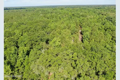 Tbd Oliver Carlton Road, Warsaw, NC 28398 - Photo 14