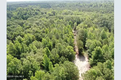 Tbd Oliver Carlton Road, Warsaw, NC 28398 - Photo 6
