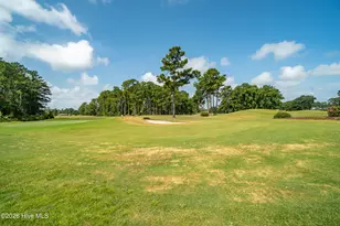 203 Brandywine Pl Dr, Morehead City, NC 28557 - Photo 48