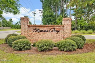 266 E Red Head Cir, Sneads Ferry, NC 28460 - Photo 38