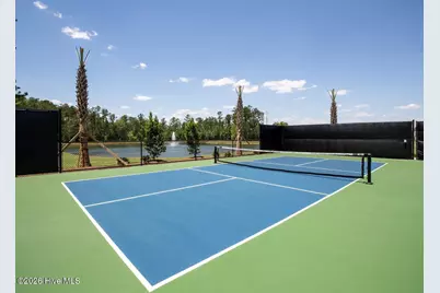 3228 Butterfly Ginger Street #Lot 156, Leland, NC 28451 - Photo 44
