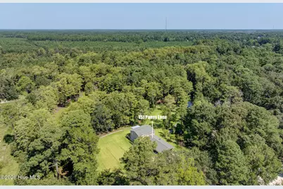 151 Pansy Lane, Hampstead, NC 28443 - Photo 62