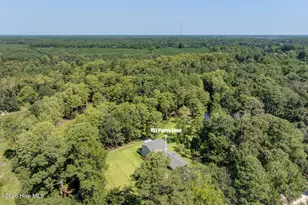 151 Pansy Ln, Hampstead, NC 28443 - Photo 62