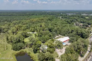 151 Pansy Ln, Hampstead, NC 28443 - Photo 66