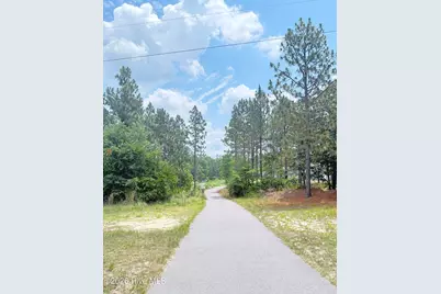137 Manley Road, Carthage, NC 28327 - Photo 2
