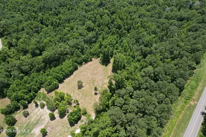 00 Old Chinquapin Road, Beulaville, NC 28518 - Photo 2