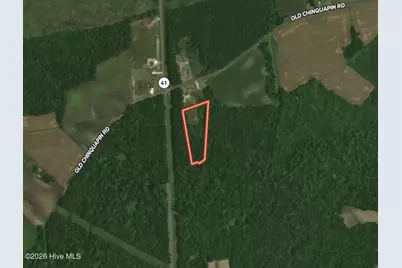 00 Old Chinquapin Road, Beulaville, NC 28518 - Photo 40
