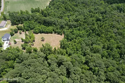 00 Old Chinquapin Road, Beulaville, NC 28518 - Photo 4