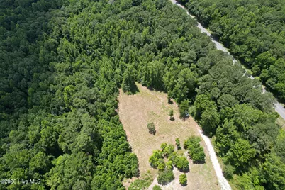 00 Old Chinquapin Road, Beulaville, NC 28518 - Photo 12