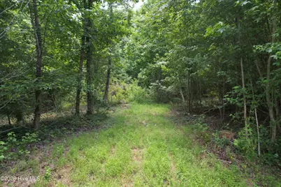 00 Old Chinquapin Road, Beulaville, NC 28518 - Photo 28