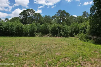 00 Old Chinquapin Road, Beulaville, NC 28518 - Photo 36