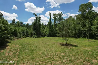 00 Old Chinquapin Road, Beulaville, NC 28518 - Photo 34