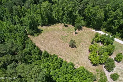 00 Old Chinquapin Road, Beulaville, NC 28518 - Photo 18
