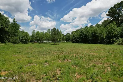 00 Old Chinquapin Road, Beulaville, NC 28518 - Photo 32