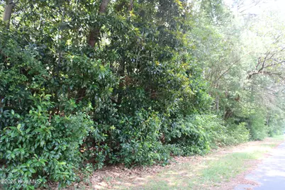 Lot 20 Grant Drive, Goldsboro, NC 27534 - Photo 6