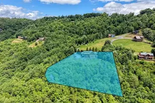 628 Madison Ln, Brasstown, NC 28902 - Photo 48