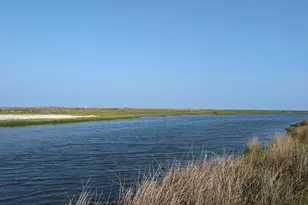 116 Sandy Lndg Rd, Cedar Island, NC 28520 - Photo 70
