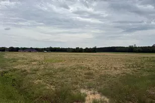 418 Menola St John Rd, Ahoskie, NC 27910 - Photo 16