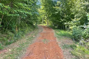 575 Vestal Cochran Rd, Topton, NC 28781 - Photo 44